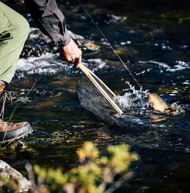 Dictumst facilisis posuere ullamcorper risus