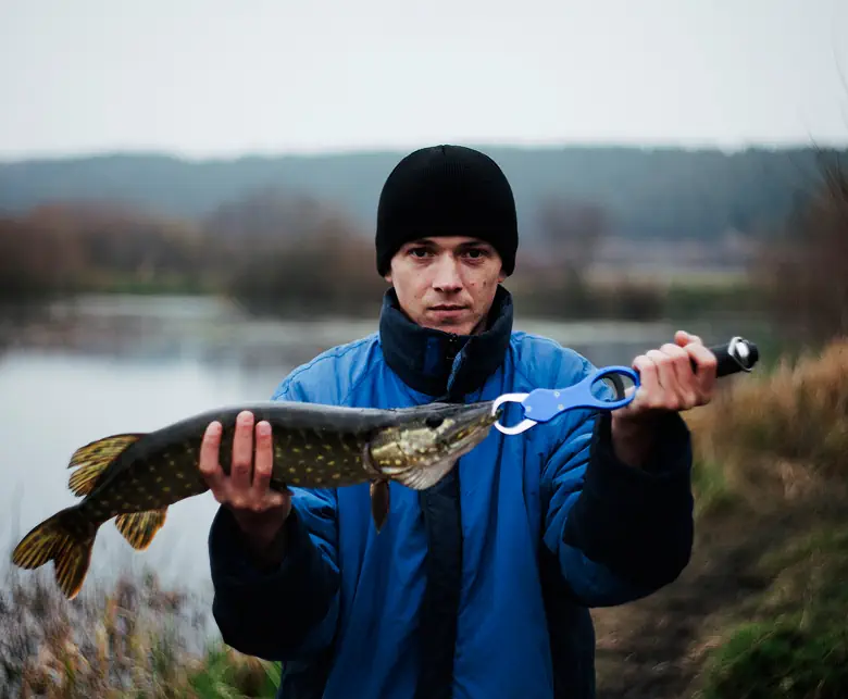 Rhoncus est posuere ipsum montes