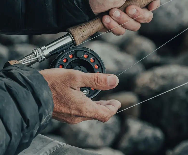 Rhoncus est posuere ipsum montes